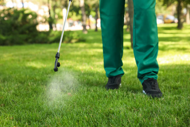 Wildlife Control Services in Soddy Daisy, TN