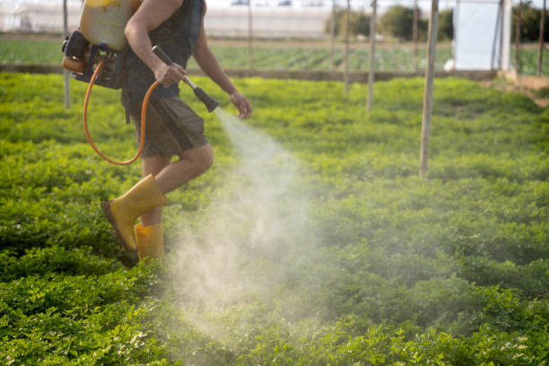 Best Affordable Pest Control Services  in Soddy Daisy, TN