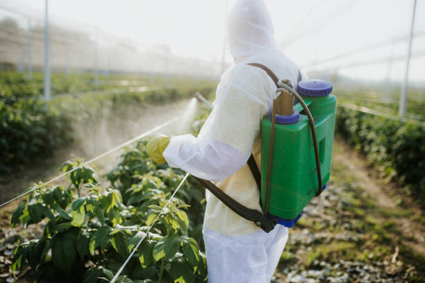 Best Pest Control Near Me in Soddy Daisy, TN